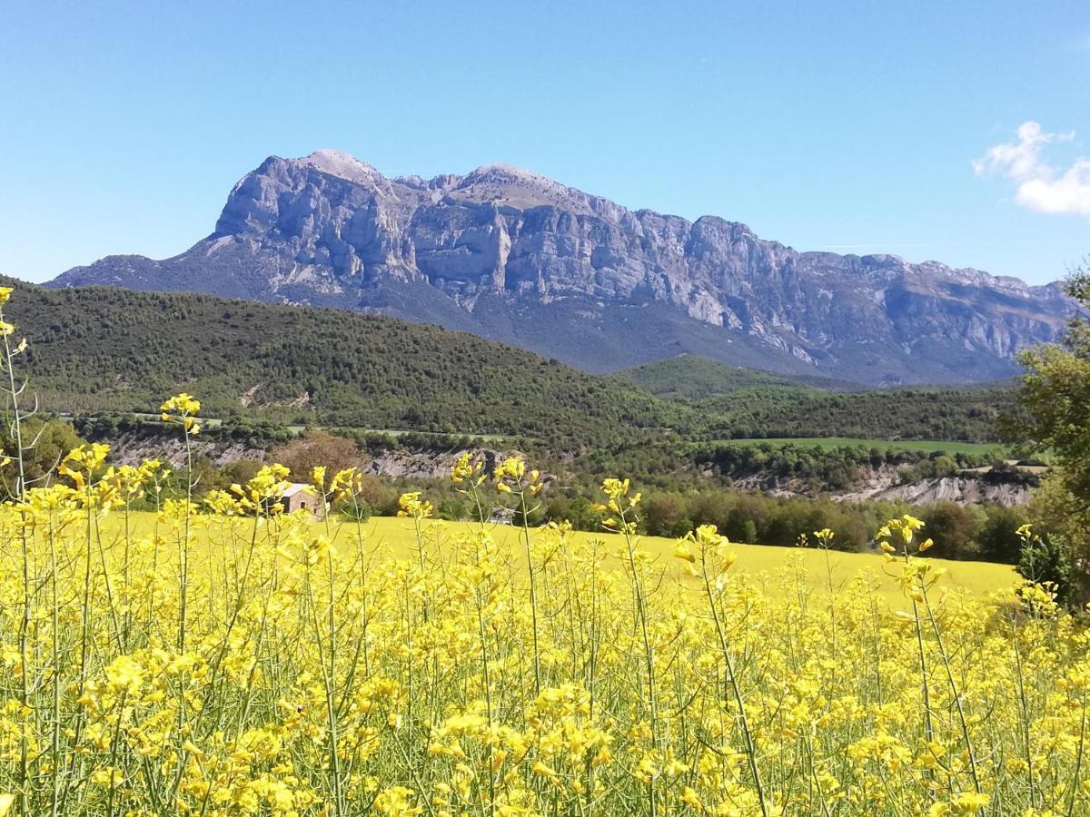 Apartamento El Fenal De Turmo Casa Rural "El Capricho De Nieves" Laspuna Bagian luar foto